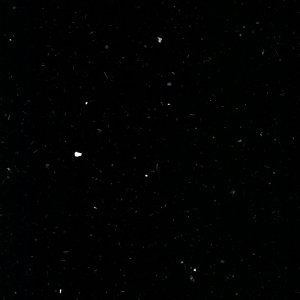 Mirror Black NQ1004R