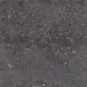NM176 Shell Grey