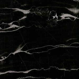 Silver Dragon NM114
