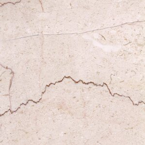 Shell Beige NMJ028