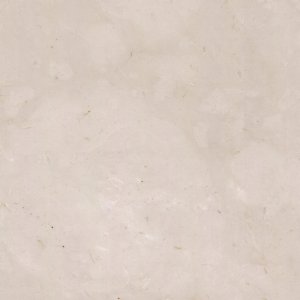 White Magnolia NMJ123